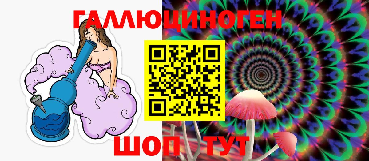 купить наркотики сайты  Галлюциногенные грибы Psilocybe  Вход с VPN  Иваново 