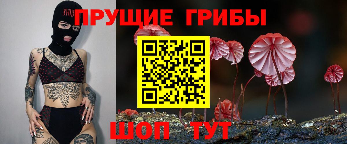 Псилоцибиновые грибы прущие грибы Иваново